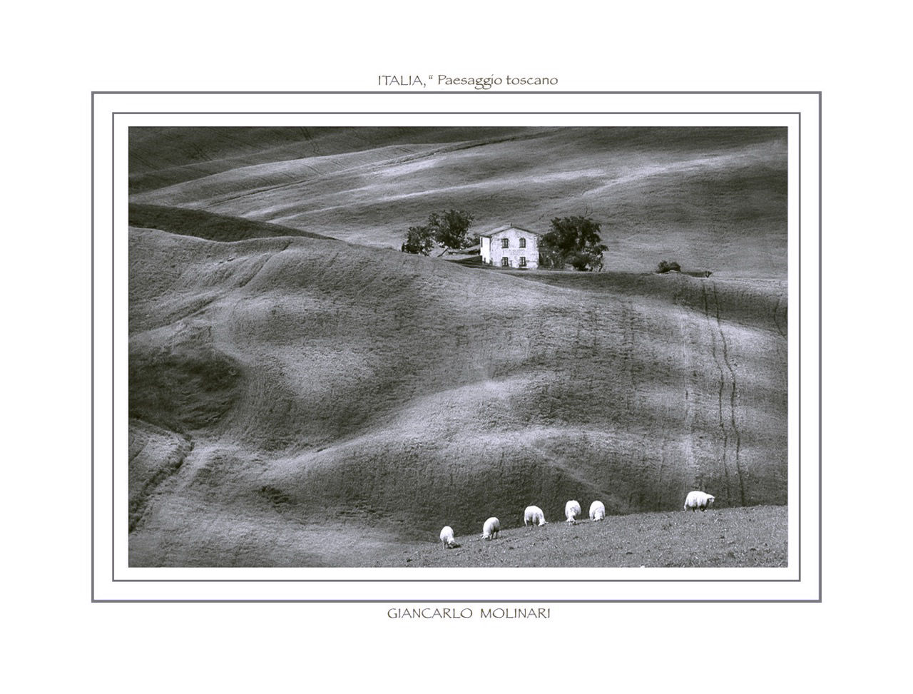 © Giancarlo Molinari